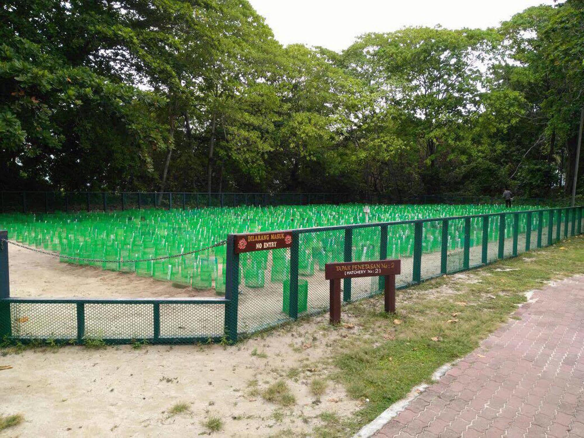 Hotel Selingan Turtle Island Sandakan Exterior foto